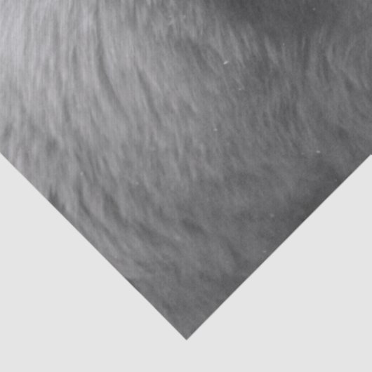 polair beer tissuepapier (Detail)