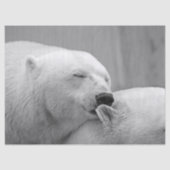 polair beer tissuepapier (Voorkant)