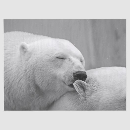 polair beer tissuepapier (Voorkant)