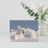 polair beer, Ursus maritimus, in ruw ijs Briefkaart (Staand voorkant)