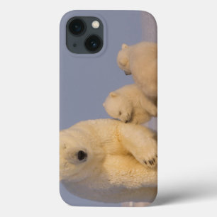 polair beer, Ursus maritimus, zeug met pasgeborene Case-Mate iPhone Case