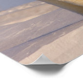 polair beer, Ursus maritimus, zeug met pasgeborene Poster (Hoek)