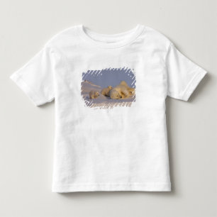 polair beer, Ursus maritimus, zeug spelen Kinder Shirts