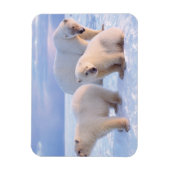 Polair beer zeug met cubs op pakijs aan de kust magneet (Verticaal)