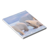 Polair beer zeug met cubs op pakijs aan de kust notitieblok (Schuin)