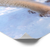 Polair beer zeug met cubs op pakijs aan de kust poster (Hoek)