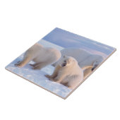 Polair beer zeug met cubs op pakijs aan de kust tegeltje (Zijkant)