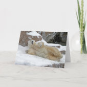 Polair Spel Kaart (Voorkant)