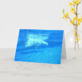 Polair zwem kaart (Gele Bloem)