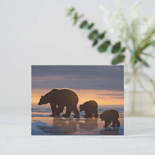 Polaire Beer Briefkaart (Staand voorkant)