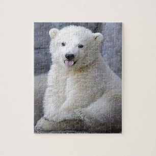 Polaire Beer Cub Legpuzzel