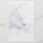 Polaire Beer en sneeuwbakkerij Briefpapier (Voorkant)