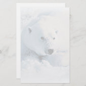 Polaire Beer en sneeuwbakkerij Briefpapier (Voorkant / Achterkant)
