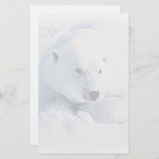 Polaire Beer en sneeuwbakkerij Briefpapier (Voorkant / Achterkant)