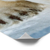 Polaire Beer en wilde zwijnen Poster (Hoek)