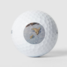 Polaire Beer familie in Arctic Snow