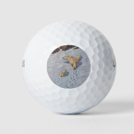 Polaire Beer familie in Arctic Snow Golfballen