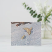 Polaire Beer familie in Arctic Snow Kaart (Staand voorkant)