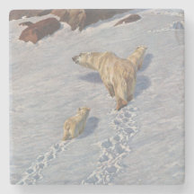 Polaire Beer familie in Arctic Snow