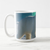 POLAIRE BEER KOFFIEMOK (Links)