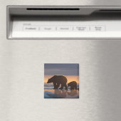 Polaire Beer Magneet (Insitu (Vaatwasser))
