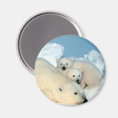 Polaire Beer Magneet (Voorkant / Achterkant)