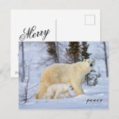 Polaire Beer moeder en krab op de toendra Feestdagenkaart (Voorkant / Achterkant)