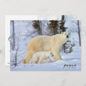 Polaire Beer moeder en kubus op de toendra Feestdagenkaart (Voorkant / Achterkant)