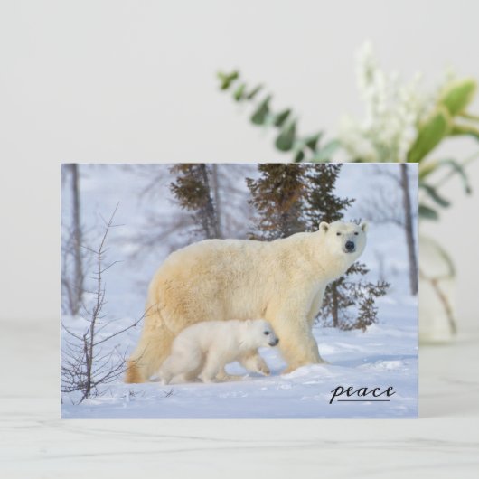 Polaire Beer moeder en kubus op de toendra Feestdagenkaart (Staand voorkant)