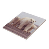 Polaire Beer moeder en kubussen Tegeltje (Zijkant)