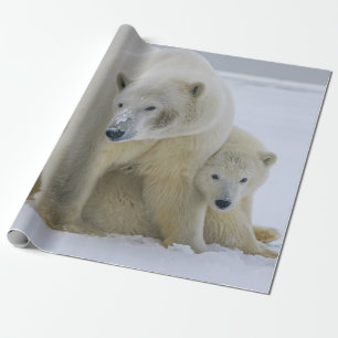 POLAIRE BEER MOEDER EN NORTHERN ALASKA CADEAUPAPIER