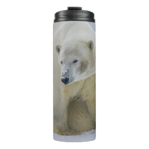 POLAIRE BEER MOEDER EN NORTHERN ALASKA THERMOSBEKER