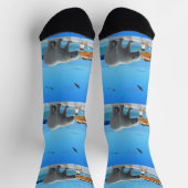 Polaire Beer ontmoet, Sokken van bemanningsleden (Top)