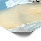 Polaire Beer Poster (Hoek)