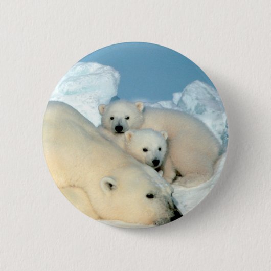 Polaire Beer Ronde Button 5,7 Cm (Voorkant)