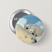 Polaire Beer Ronde Button 5,7 Cm (Voorkant /achterkant)