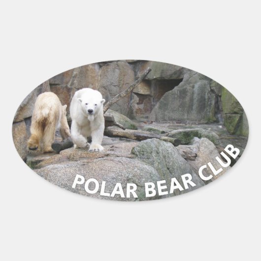 POLAIRE BEER STICKERS (Voorkant)