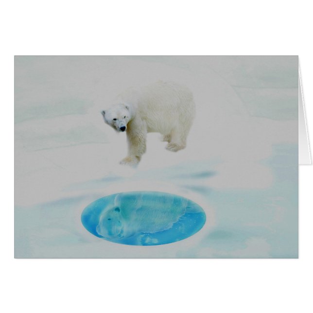 Polaire beren alleen (Voorkant Horizontaal)