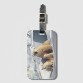 Polaire Beren Bagagelabel (Voorkant (verticaal))