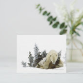Polaire Beren bij Nationaal Park Wapusk Briefkaart (Staand voorkant)