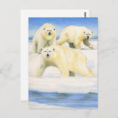 Polaire Beren Briefkaart (Voorkant / Achterkant)