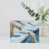 polaire beren briefkaart (Staand voorkant)