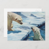 polaire beren briefkaart (Voorkant / Achterkant)