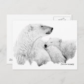 Polaire Beren Briefkaart (Voorkant / Achterkant)