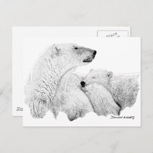 Polaire Beren Briefkaart (Voorkant / Achterkant)