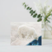 Polaire beren briefkaart (Staand voorkant)