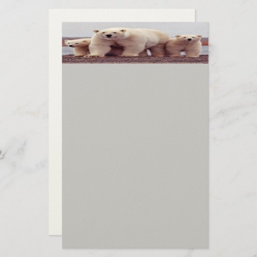 Polaire beren briefpapier (Voorkant / Achterkant)