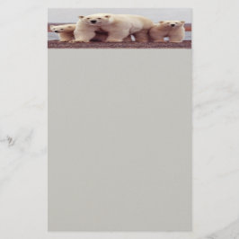 Polaire beren briefpapier