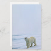 Polaire Beren Briefpapier (Voorkant / Achterkant)