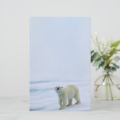 Polaire Beren Briefpapier (Staand voorkant)